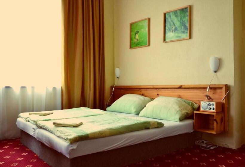 غرفة قياسية, Penzion Partizan