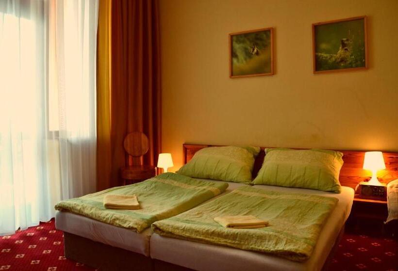 غرفة قياسية, Penzion Partizan