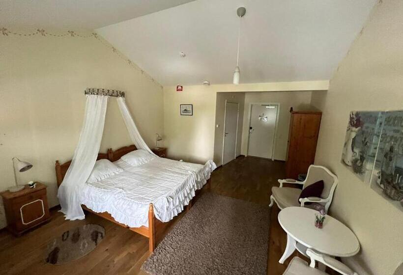 חדר סטנדרט מותאם לאדם עם מוגבלויות, Fritza   Tidigare Hotel Fritzatorpet