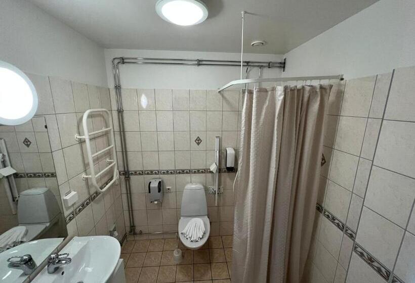 身障者適用スタンダードルーム, Fritza Tidigare Hotel Fritzatorpet
