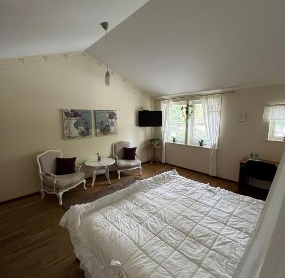 חדר סטנדרט מותאם לאדם עם מוגבלויות, Fritza   Tidigare Hotel Fritzatorpet