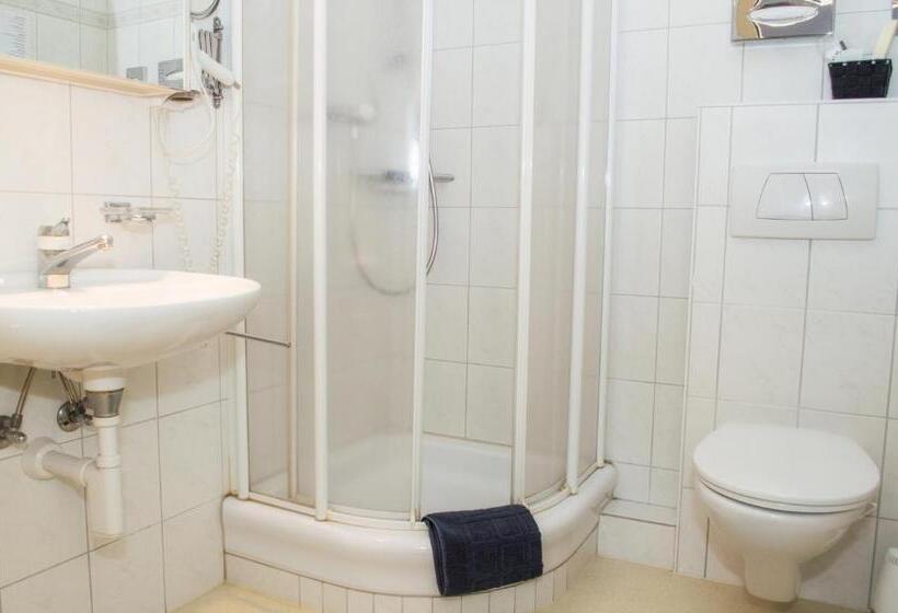 Номер Стандарт Индивидуальный, Gasthof Zur Saline