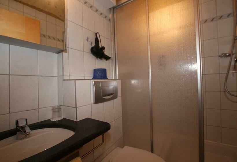 Cameră Standard Individuală, Gästehaus Alpina