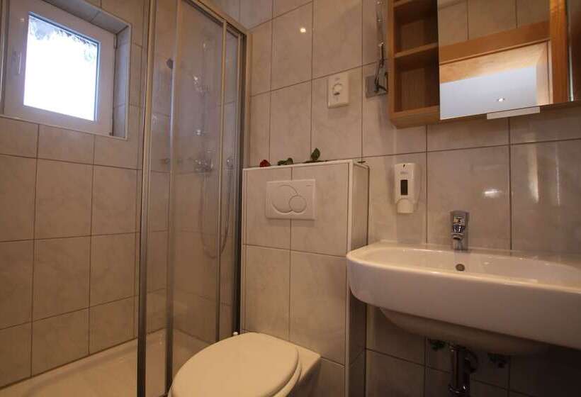 Cameră Standard Individuală, Gästehaus Alpina