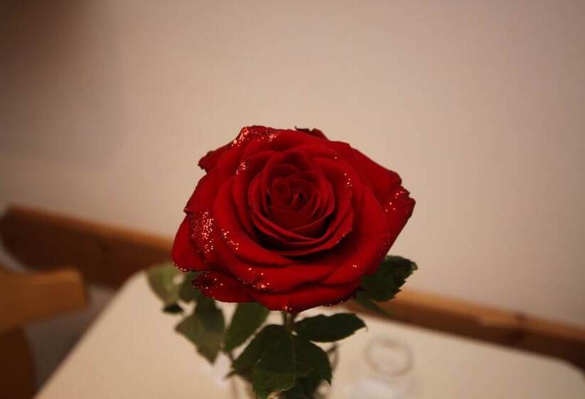 3 Szobás Apartman, Gästehaus Alpina