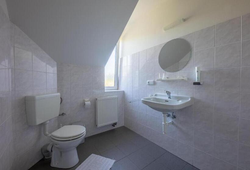 غرفة قياسية, Penzion Na Bobrovníku