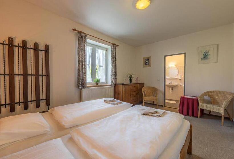 غرفة قياسية, Penzion Na Bobrovníku