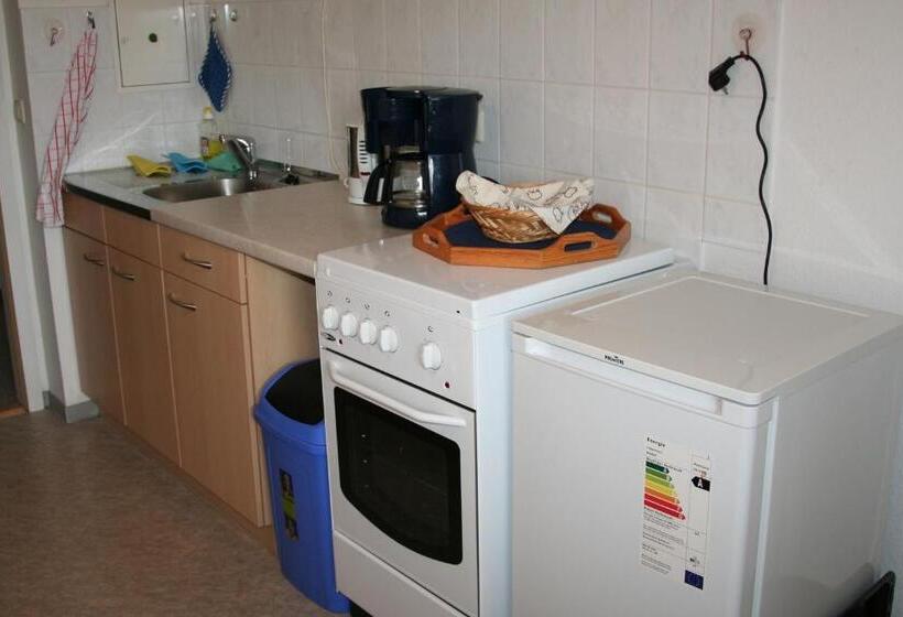 带1个卧室的带阳台的公寓, Pension Gina