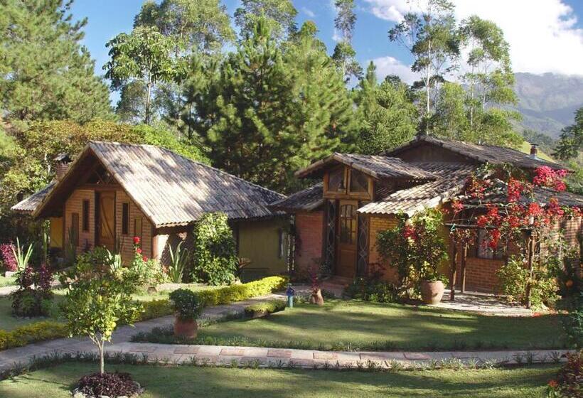 کلبه ییلاقی دلوکس یک خوابه, Aldebaran Pousada