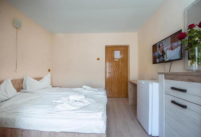 חדר סטנדרט, Complex Alutus  Camere De Inchiriat