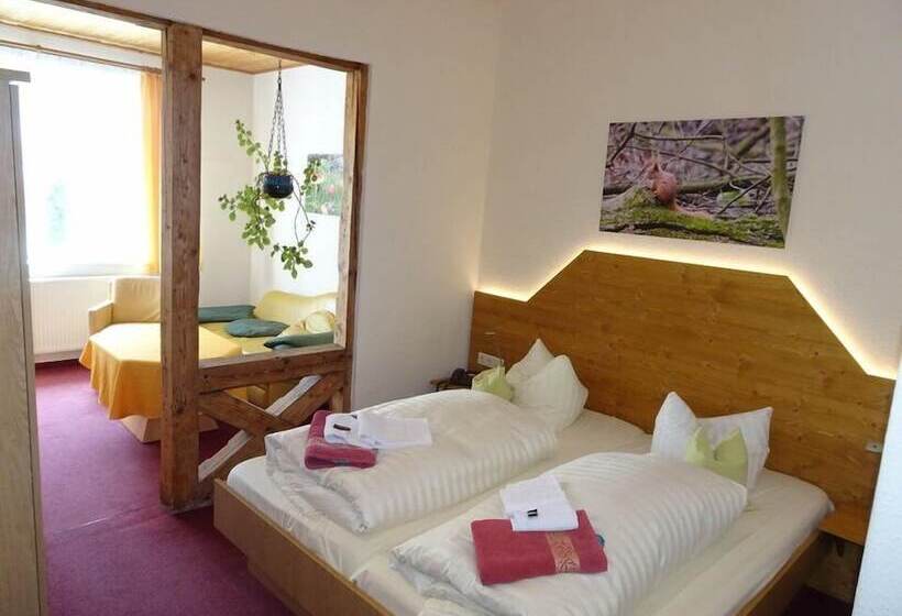 غرفة قياسية, Gasthaus Kobär