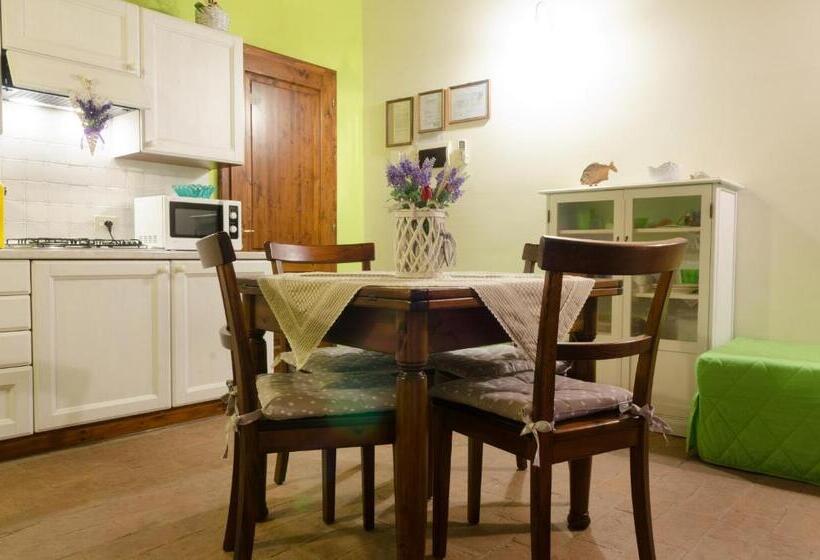 标准工作室, Podere San Giuseppe