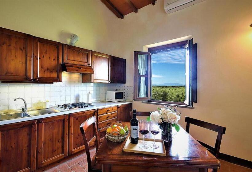 带1个卧室的公寓, Podere San Giuseppe