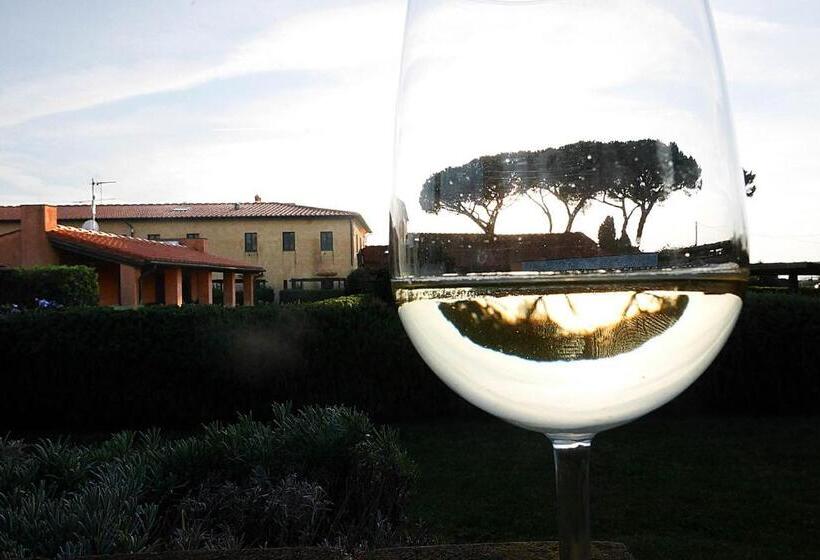 带2个卧室的公寓, Podere San Giuseppe