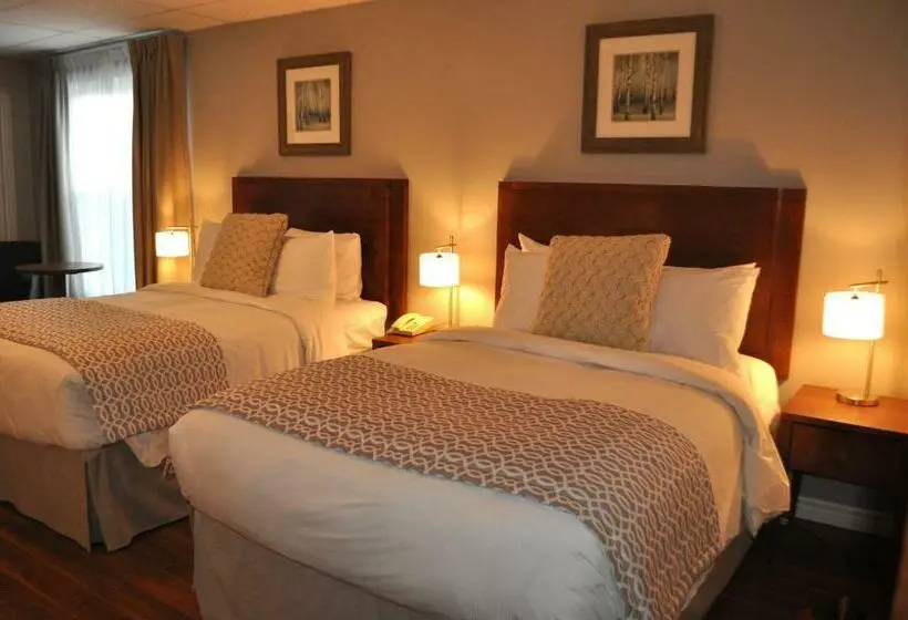 2ダブルベッドのスタンダードルーム, Auberge Du Marchand