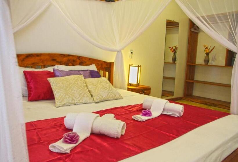 1 Yatak Odalı Delüks Daire, Espaço Nova Era Pousada