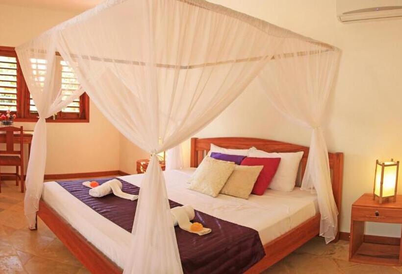 1 Yatak Odalı Delüks Daire, Espaço Nova Era Pousada