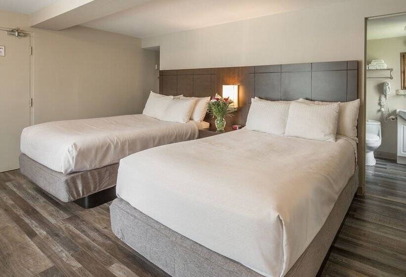 غرفه قياسيه سريرين مزدوجين, Kent Inn