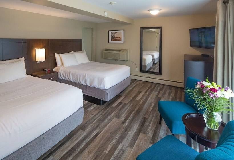 غرفه قياسيه سريرين مزدوجين, Kent Inn