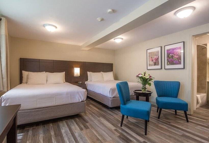 غرفه قياسيه سريرين مزدوجين, Kent Inn