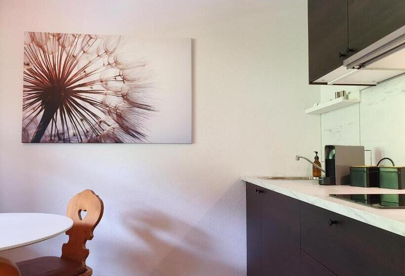 Апартаменты 1 Спальня с Балконом, Gruberwirt Apartments