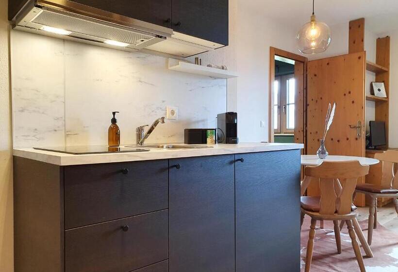 带1个卧室的公寓, Gruberwirt Apartments