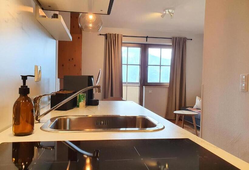 带1个卧室的公寓, Gruberwirt Apartments