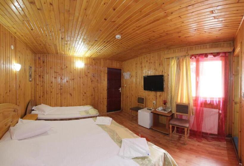 Номер Стандарт Трехместный, Pensiunea La Cristina