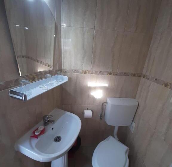 Апартаменты 1 Спальня с Видом, Pensiunea La Cristina