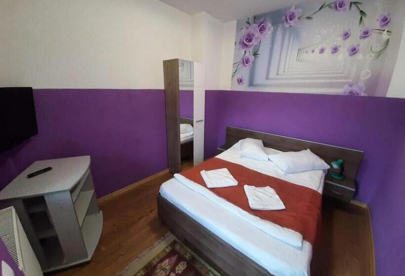 Апартаменты 1 Спальня с Видом, Pensiunea La Cristina