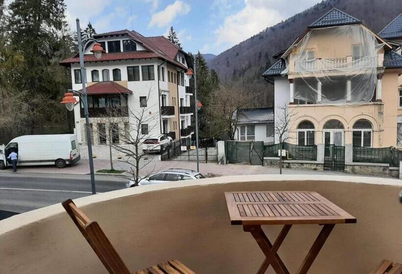 Апартаменты 1 Спальня с Балконом, Pensiunea La Cristina