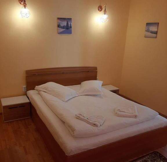 Апартаменты 1 Спальня с Балконом, Pensiunea La Cristina