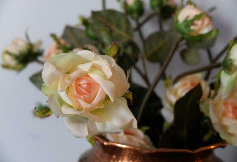 标准间带露台, Posada Ansorena