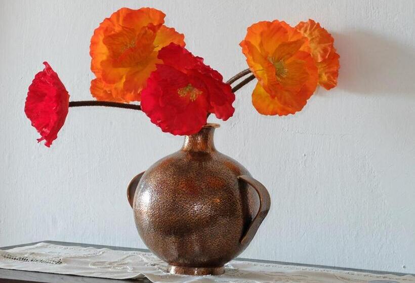 带观景的标准间, Posada Ansorena