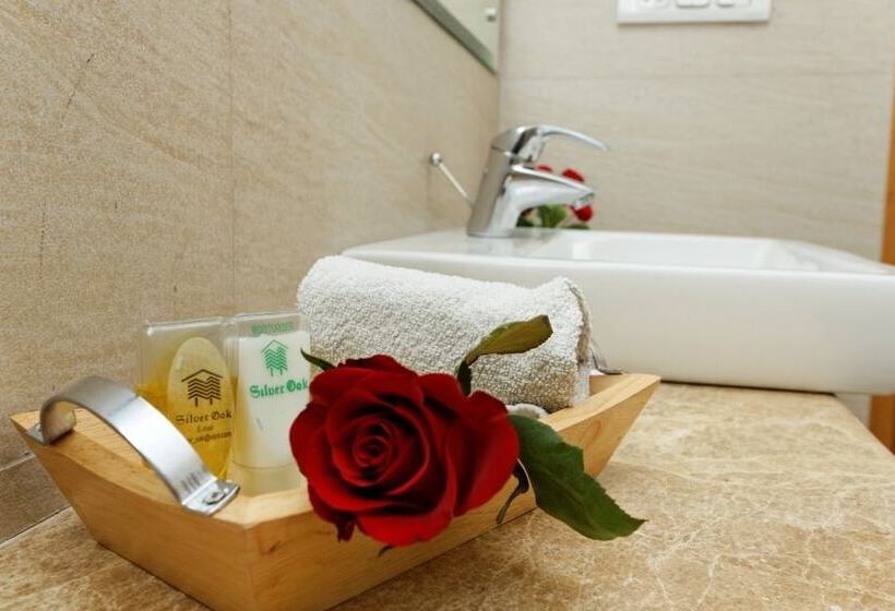 디럭스 룸, Silver Oak @43