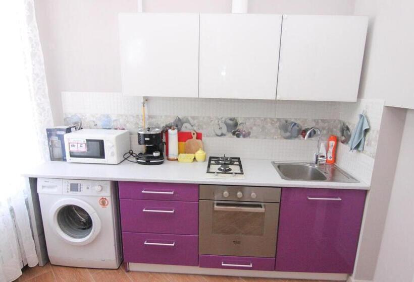 سوییت خانوادگی, Apart Hotel On Preobrajenskaya 24