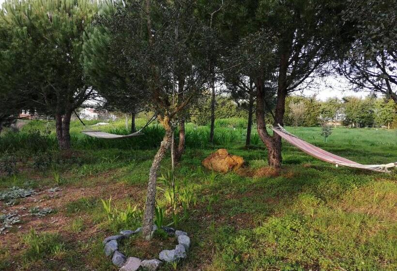 침실 1개 주택, Amor De Crianca