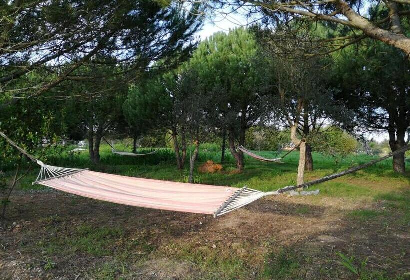 침실 1개 주택, Amor De Crianca