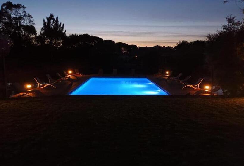 샬레, Amor De Crianca