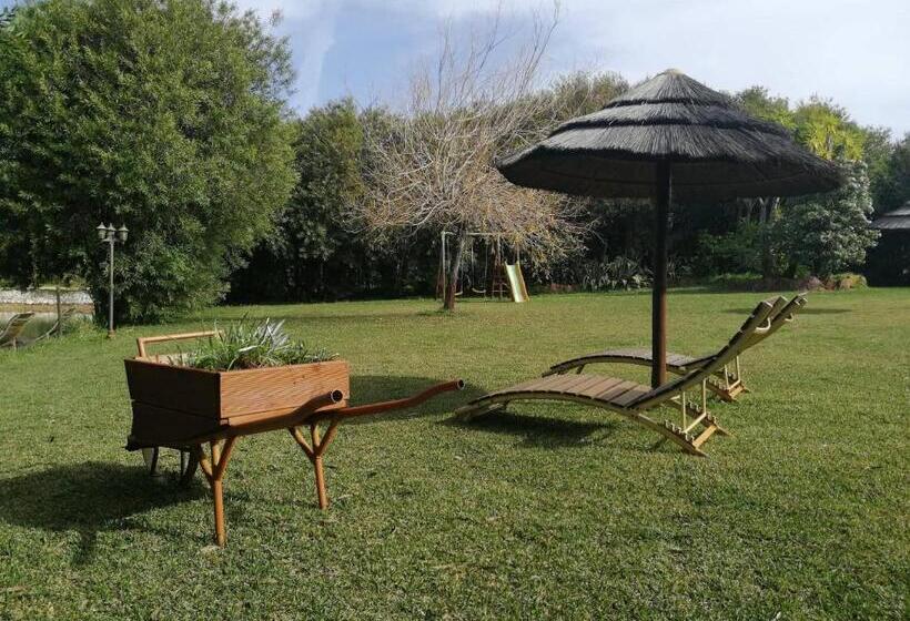 샬레, Amor De Crianca