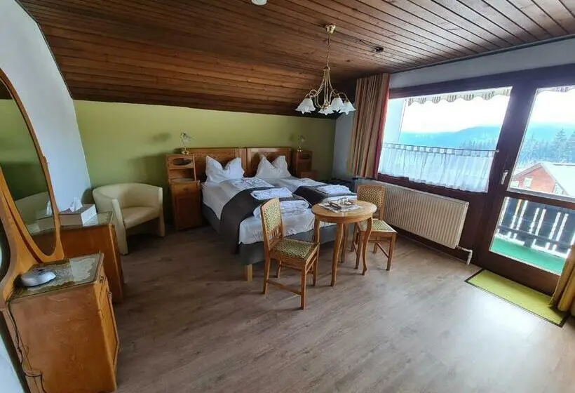 اتاق استاندارد با بالکن, Gästehaus Pernull