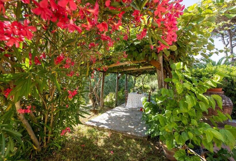 带1个卧室的公寓, Residence Al Foionco