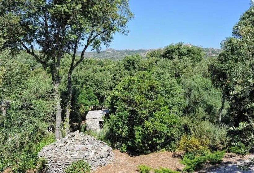 Talo 2 Makuuhuonetta, Residence Sophia