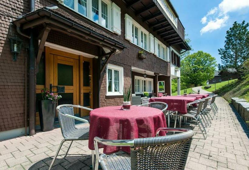 חדר סטנדרט, Schwendi Lodge