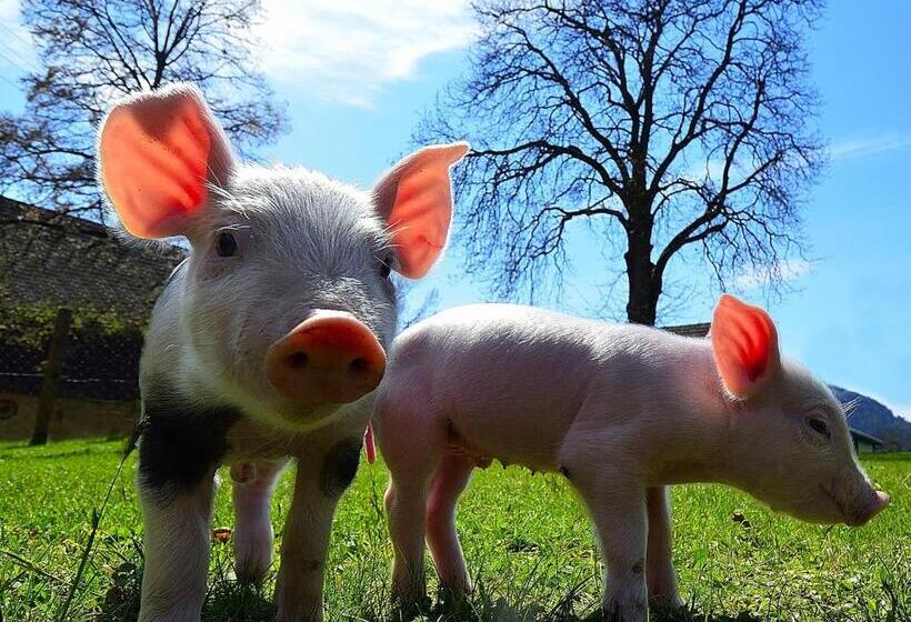 バルコニー付きスタンダードトリプルルーム, Erlebnisbauernhof Urak