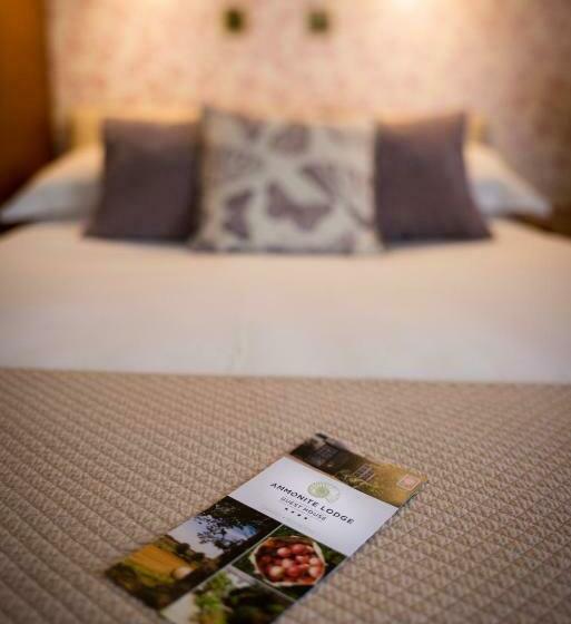 غرفة قياسية, Ammonite Lodge