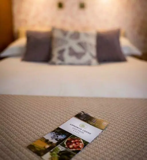 スタンダードルーム, Ammonite Lodge