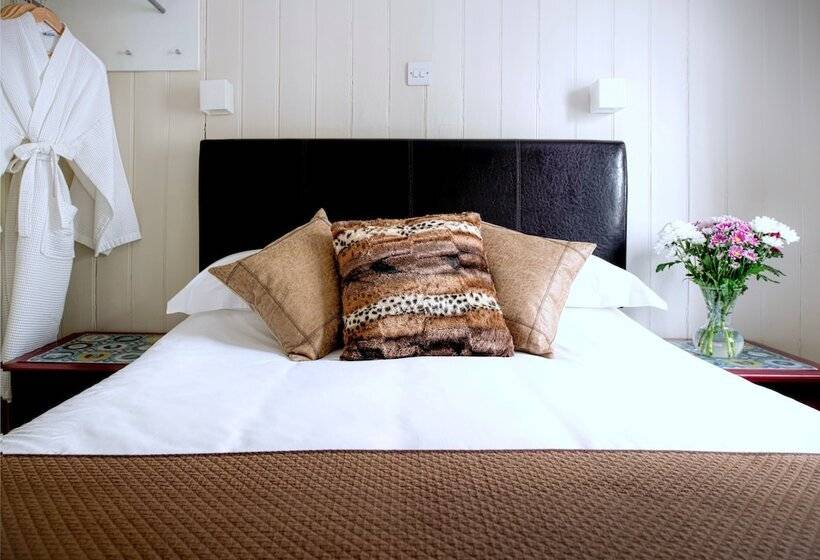 غرفة قياسية, Ammonite Lodge