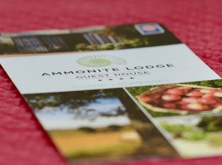 ファミリールーム, Ammonite Lodge