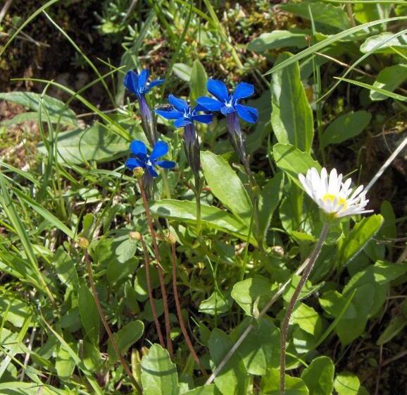 2 Sovrums Lägenhet, Haus Helga